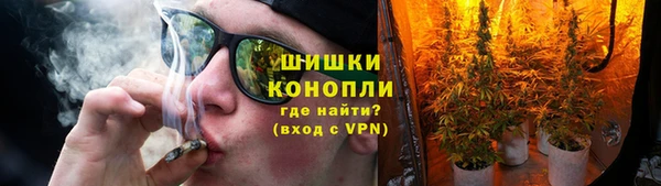 стаф Новокубанск