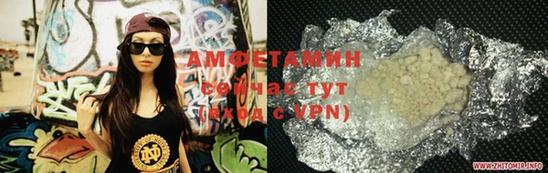 стаф Новокубанск