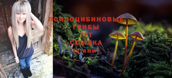меф Новодвинск