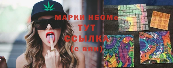 стаф Новокубанск