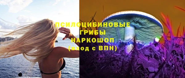 стаф Новокубанск